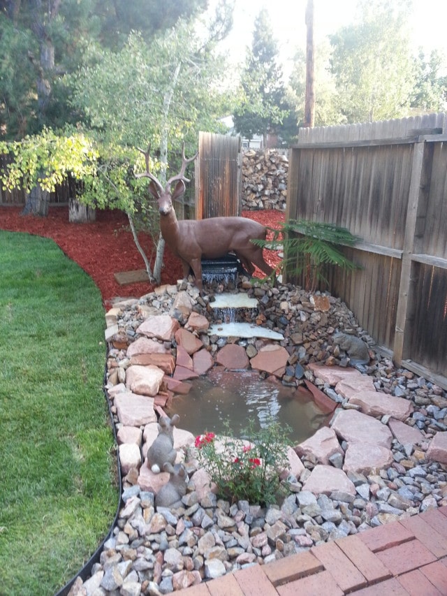 A xeriscape depicting a pond and buck, done by Minh.